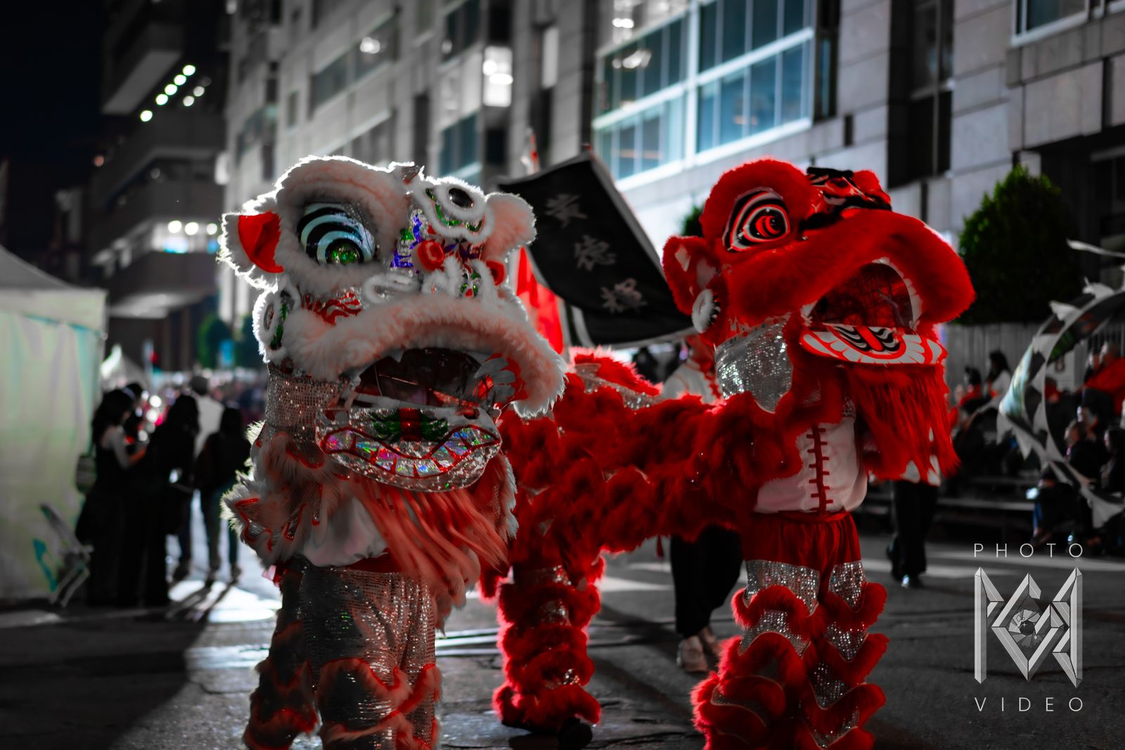 A white lion and a red lion dancing side by side, in red-toned colour