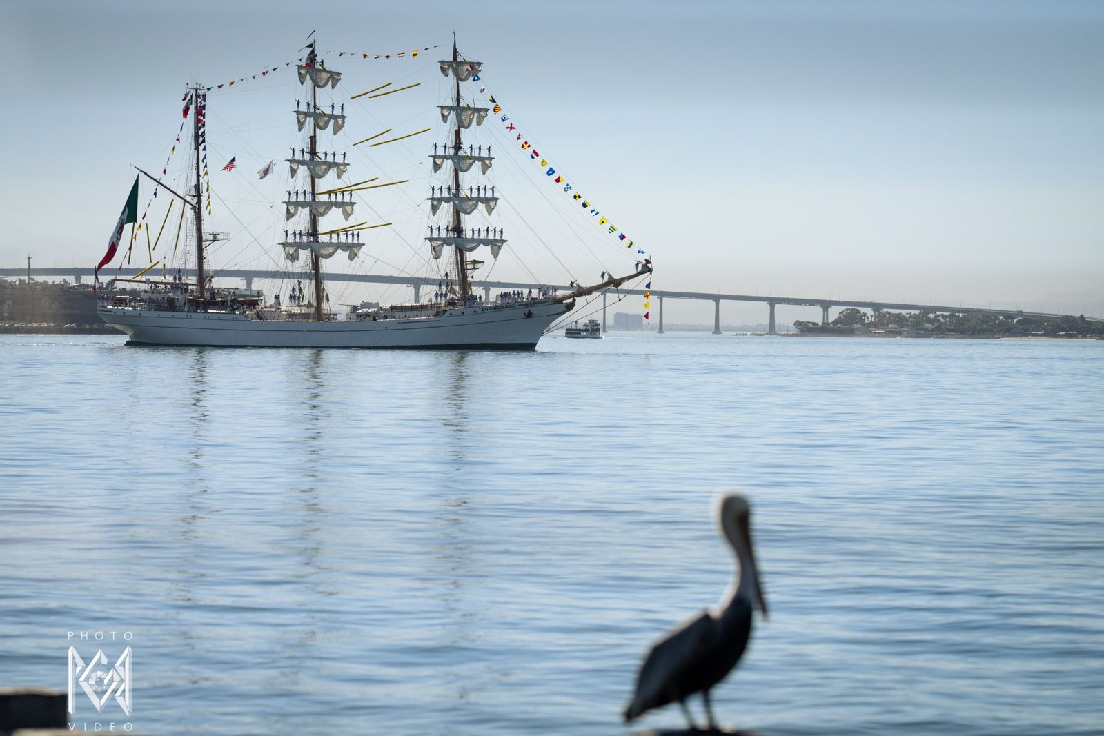 A pelican on a post in the foreground with the ship under way behind it, a long bridge beyond