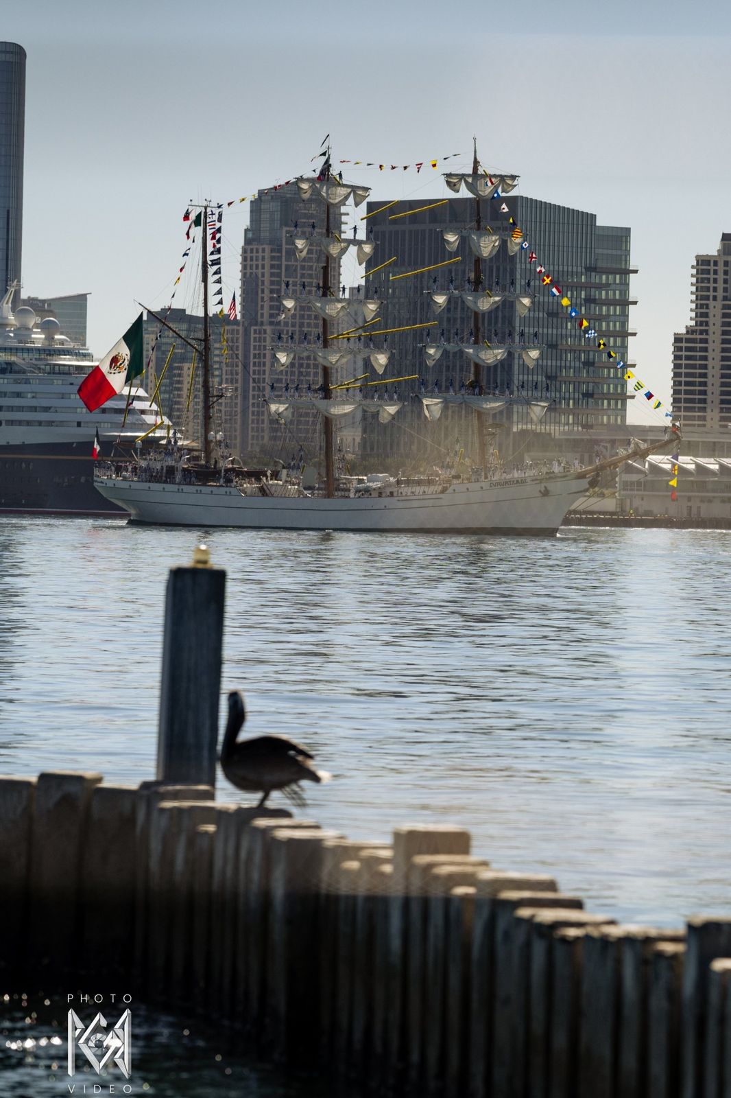 A pelican perched on a pier post with the ship and city towers across the water