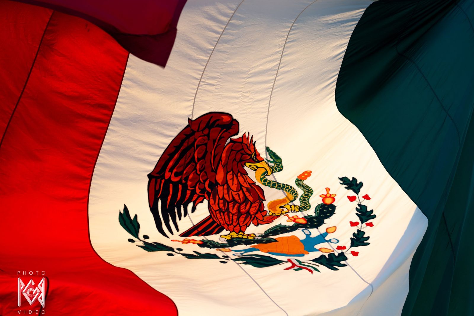 The Mexican flag with its eagle and serpent crest, filling the frame