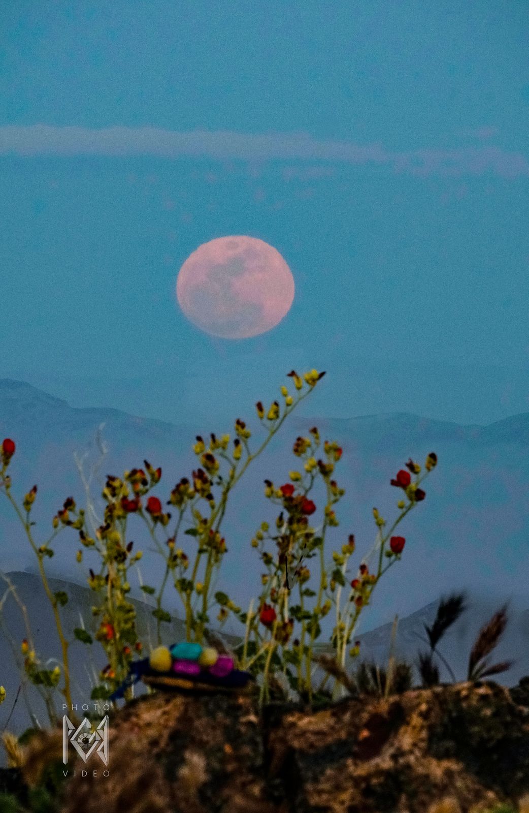 A rust-red full moon above blue hazy ridges, with a spray of red-flowered desert shrubs and a rocky foreground at dusk