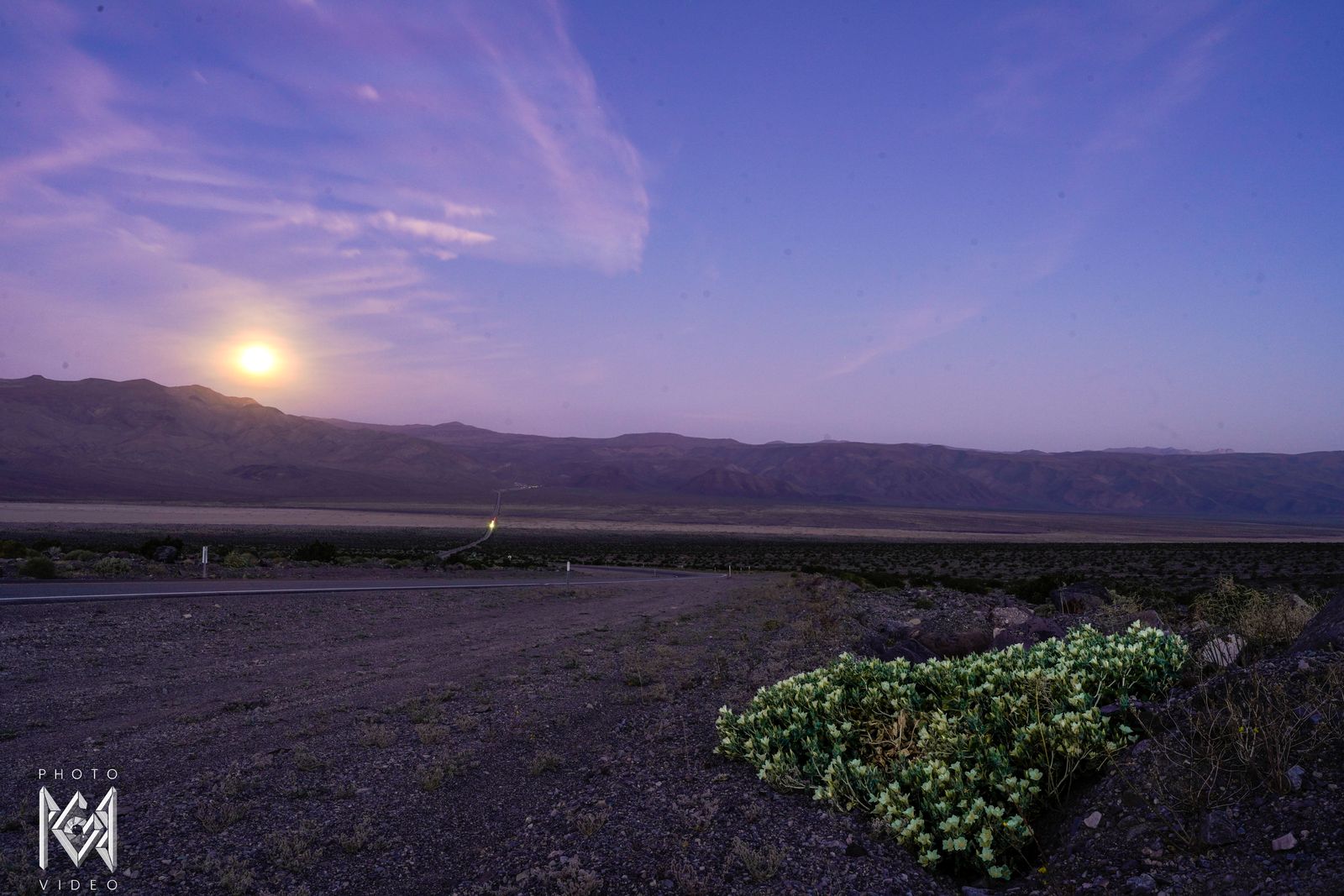 The moon rising low in a purple dawn sky over distant ranges, a flowering shrub by the gravel roadside