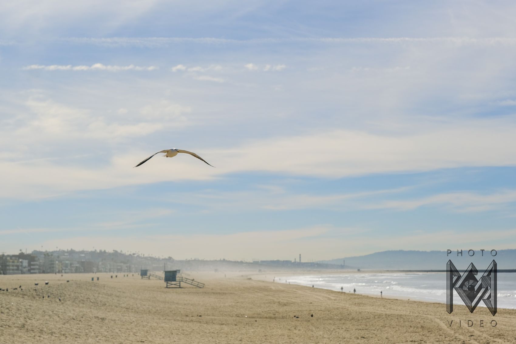 A gull gliding over an empty beach with lifeguard towers, surf and distant hills under a pale blue sky