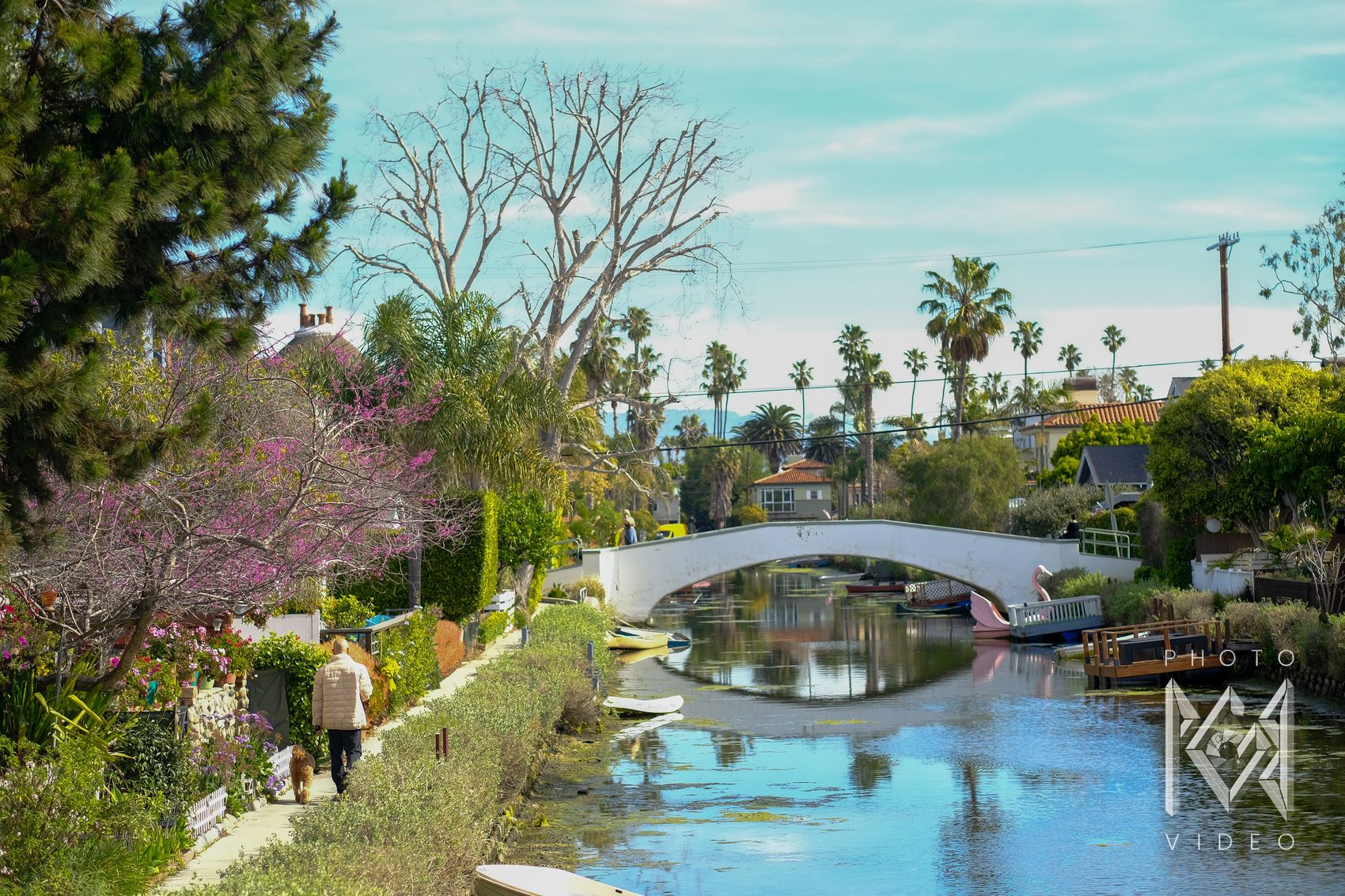 A white arched footbridge over a calm canal lined with flowering trees, palms and houses, a man walking his dog along the path