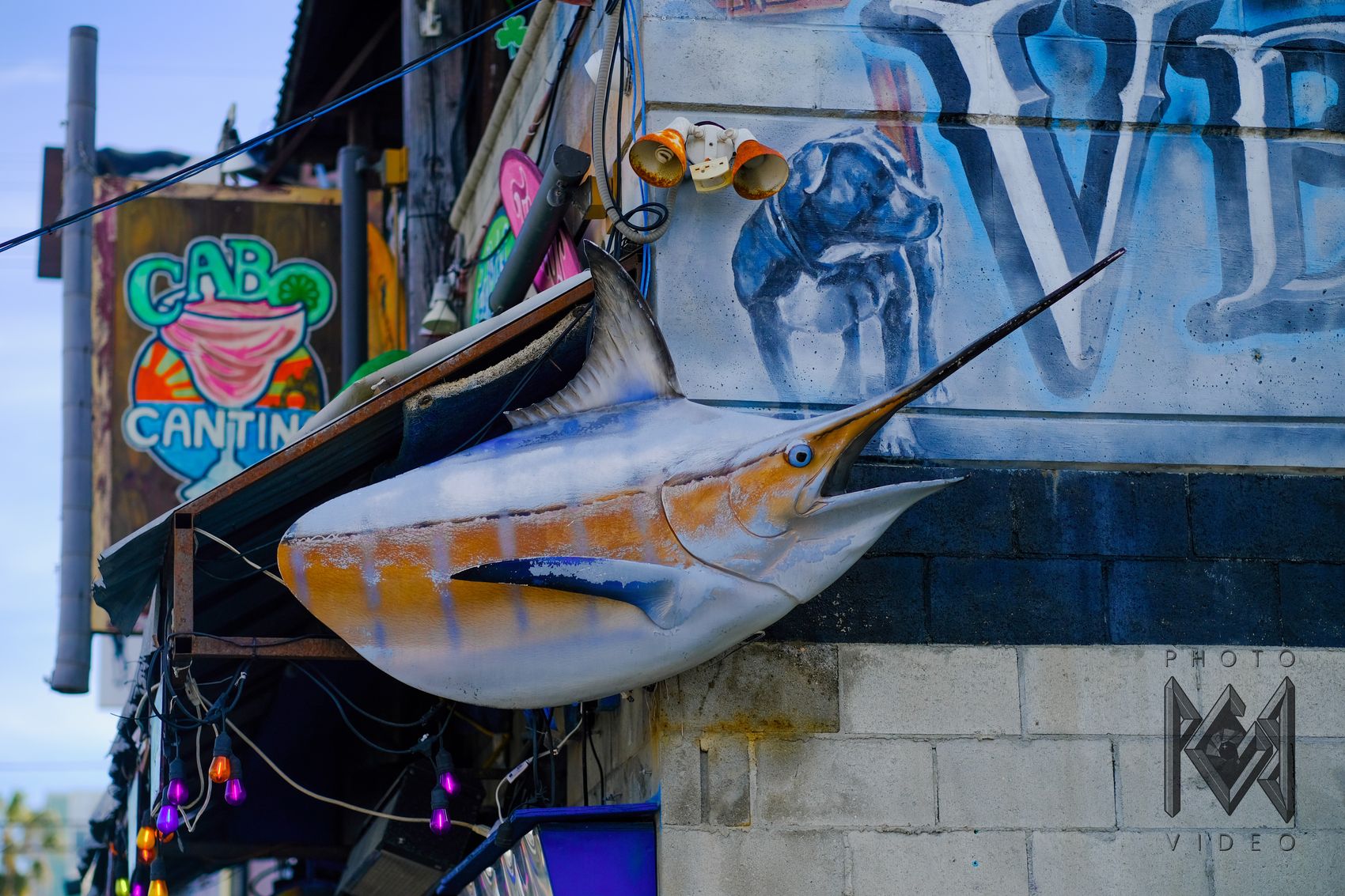 A painted marlin sculpture leaping from a building corner beside a colourful cantina sign and string lights